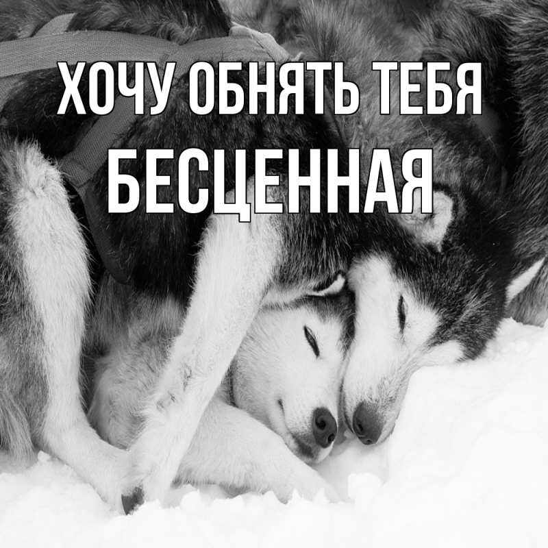 Картинка Хочу обнять тебя, Бесценная