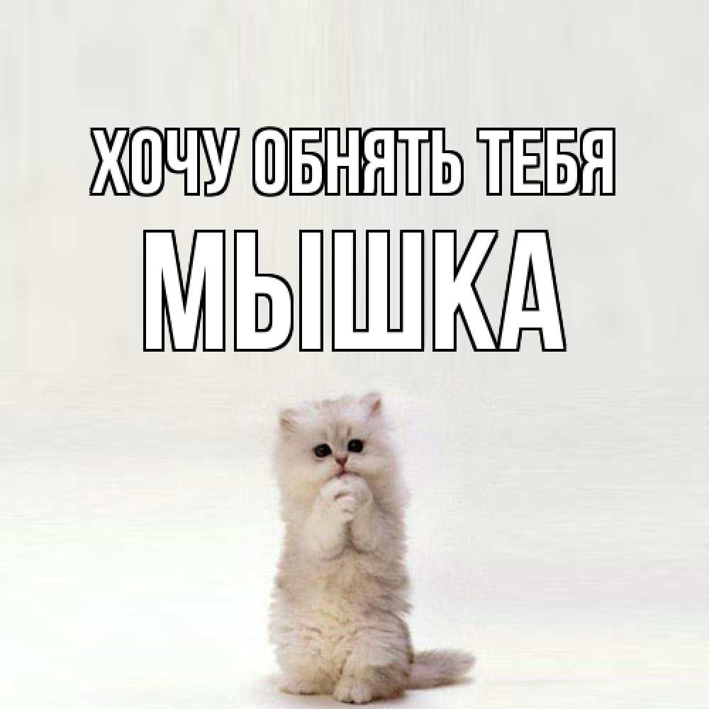 Открытка на каждый день с именем, Мышка Хочу обнять тебя открытки с креативными подписями Прикольная открытка с пожеланием онлайн скачать бесплатно 