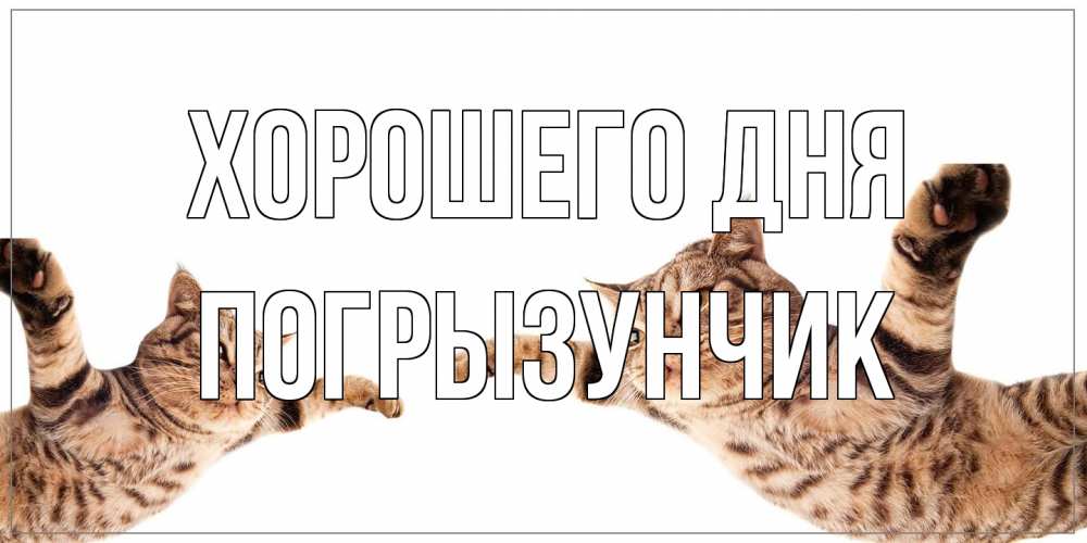 Открытка на каждый день с именем, Погрызунчик Хорошего дня хорошего дня Прикольная открытка с пожеланием онлайн скачать бесплатно 
