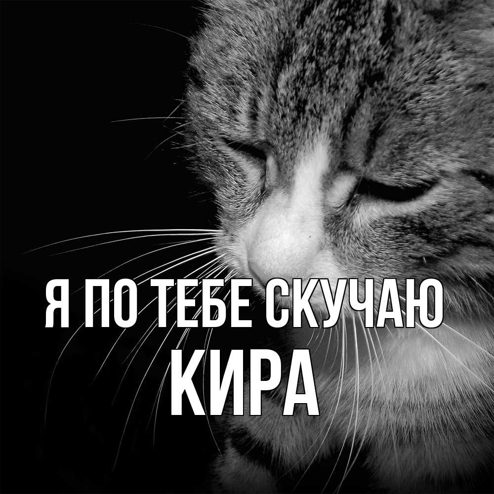 Открытка на каждый день с именем, Кира Я по тебе скучаю мне скучно Прикольная открытка с пожеланием онлайн скачать бесплатно 