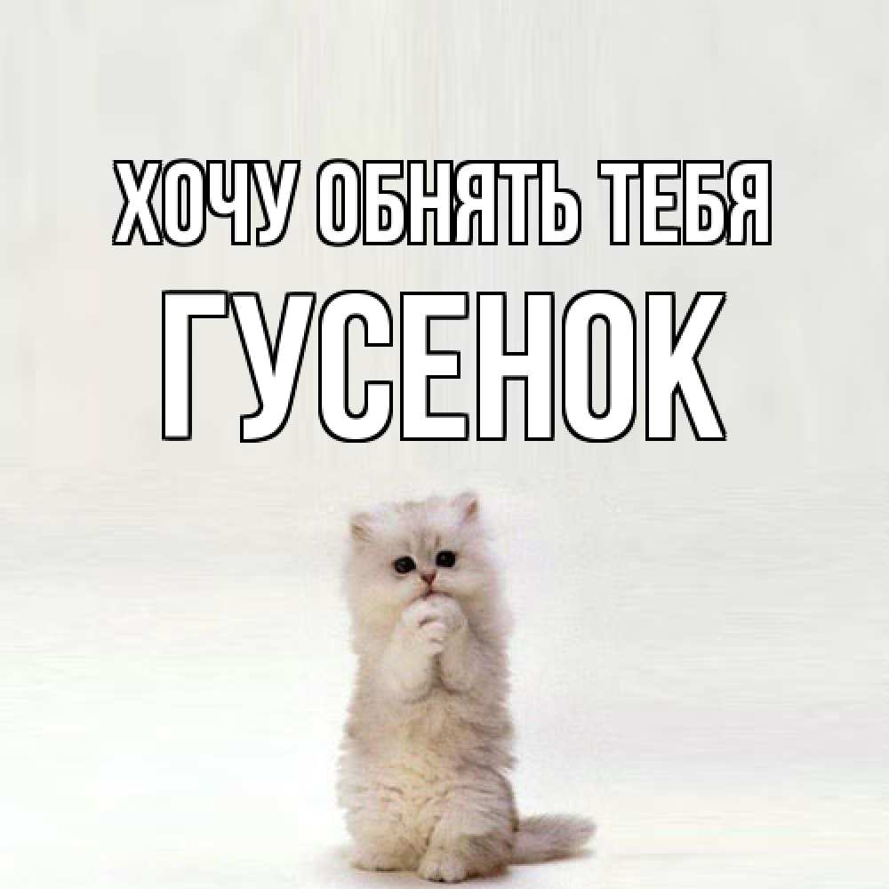 Открытка на каждый день с именем, гусенок Хочу обнять тебя открытки с креативными подписями Прикольная открытка с пожеланием онлайн скачать бесплатно 