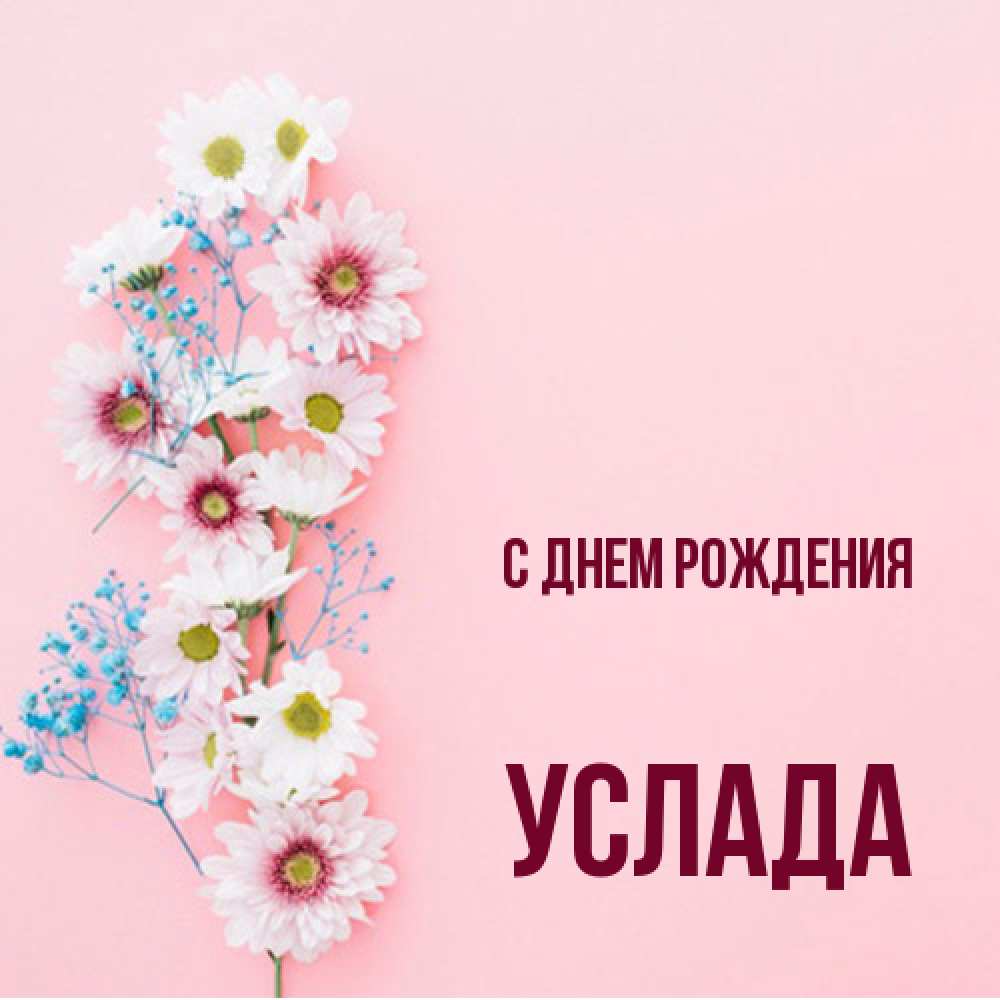 Открытка на каждый день с именем, услада С днем рождения Родная моя с днем рождения тебя картинка с цветами белыми и голубыми Прикольная открытка с пожеланием онлайн скачать бесплатно 