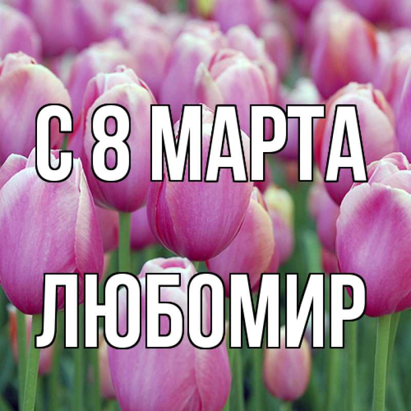 Картинка C 8 МАРТА, Любомир