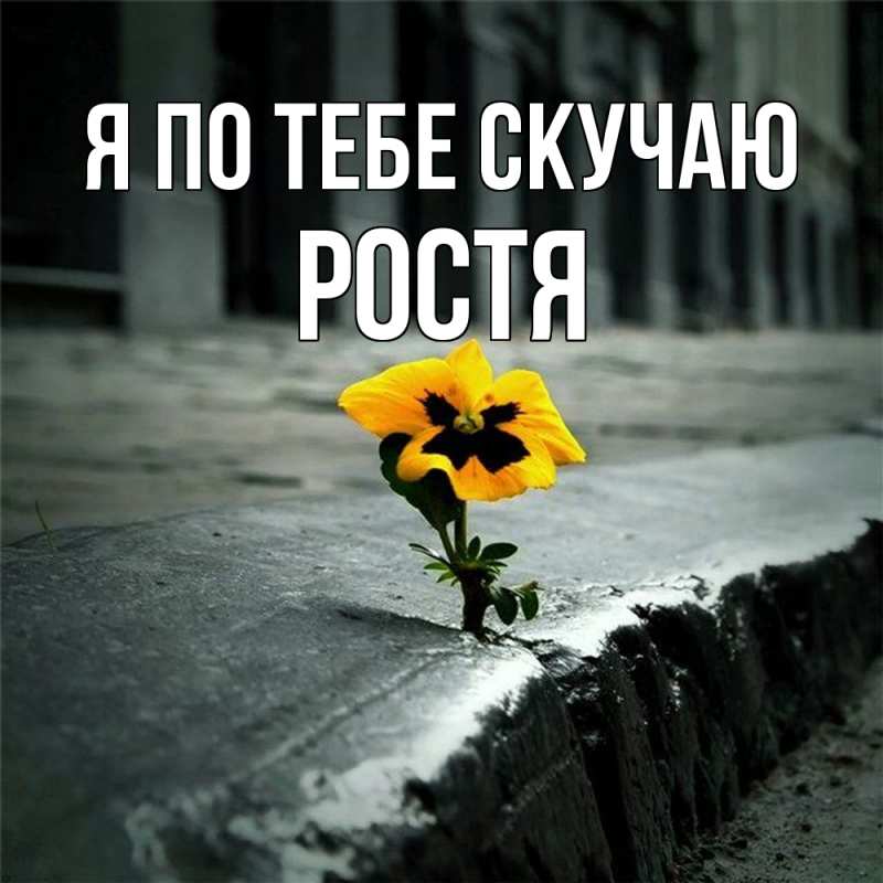 Картинка Я по тебе скучаю, Ростя