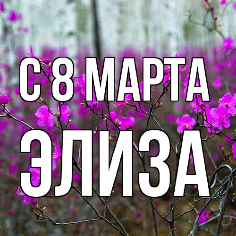 Картинка C 8 МАРТА, Элиза