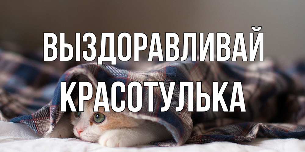 Открытка на каждый день с именем, красотулька Выздоравливай не болейте с котиком Прикольная открытка с пожеланием онлайн скачать бесплатно 