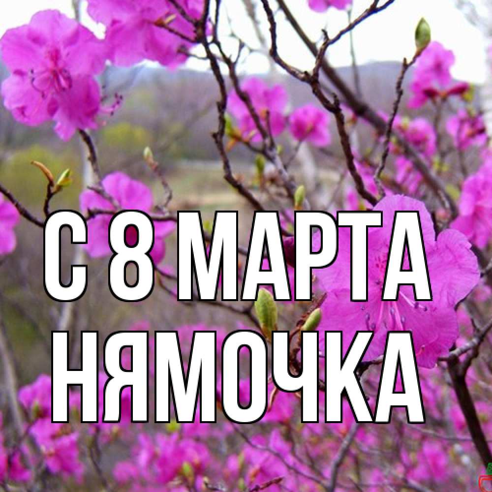 Открытка на каждый день с именем, нямочка C 8 МАРТА международный женский день Прикольная открытка с пожеланием онлайн скачать бесплатно 