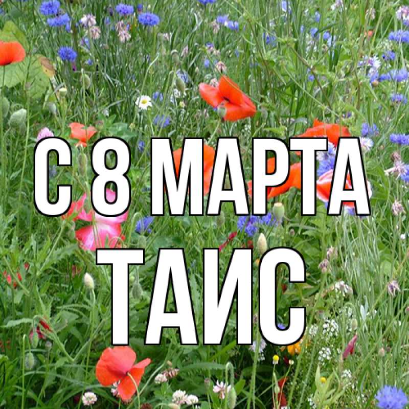 Картинка C 8 МАРТА, Таис