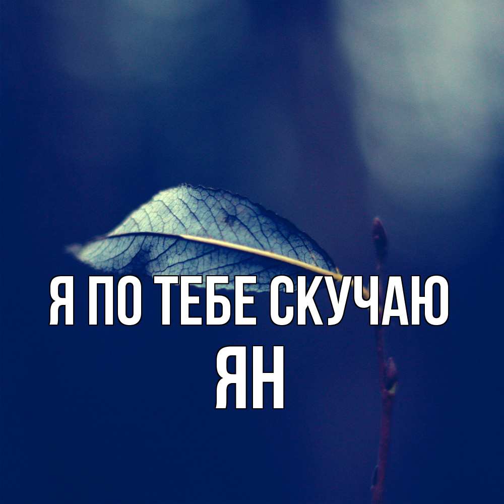 Открытка на каждый день с именем, Ян Я по тебе скучаю одна ветка 1 Прикольная открытка с пожеланием онлайн скачать бесплатно 