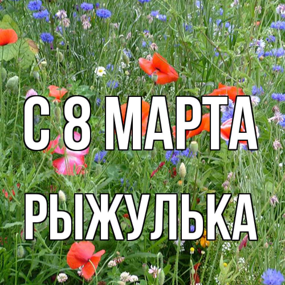 Открытка на каждый день с именем, рыжулька C 8 МАРТА международный женский день 4 Прикольная открытка с пожеланием онлайн скачать бесплатно 