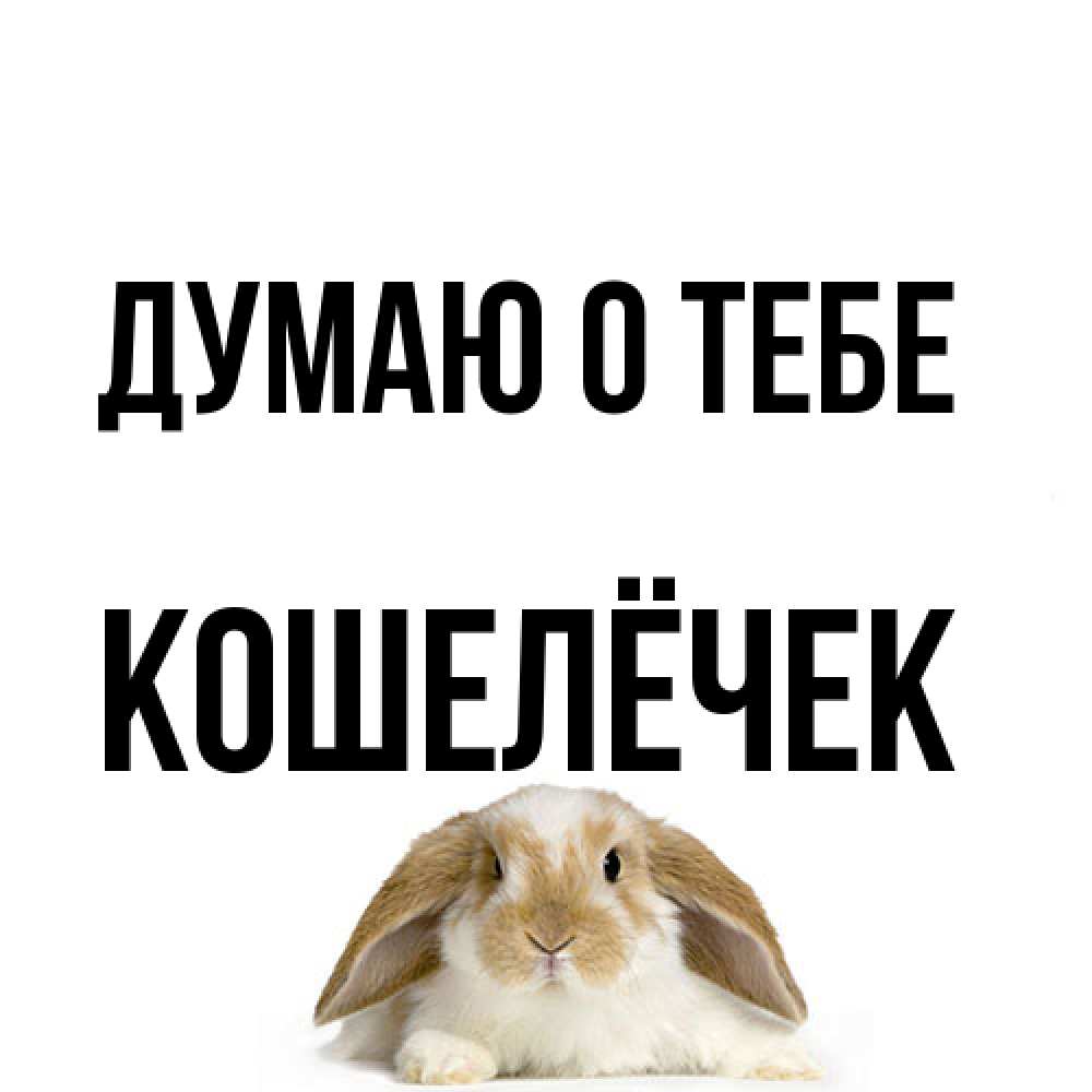 Открытка на каждый день с именем, кошелёчек Думаю о тебе подписать своими руками онлайн Прикольная открытка с пожеланием онлайн скачать бесплатно 