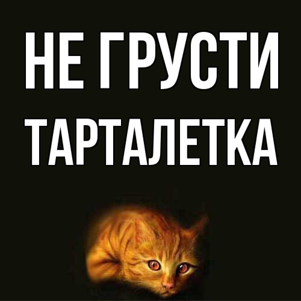 Открытка на каждый день с именем, Тарталетка Не грусти лежащий кот в темноте Прикольная открытка с пожеланием онлайн скачать бесплатно 