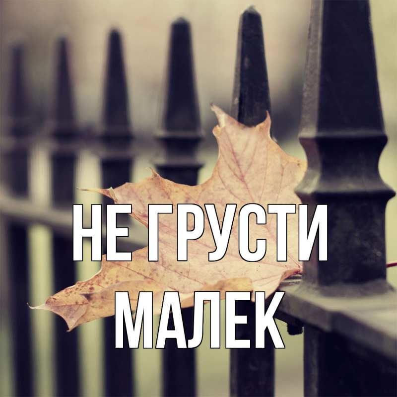 Картинка Не грусти, Малек