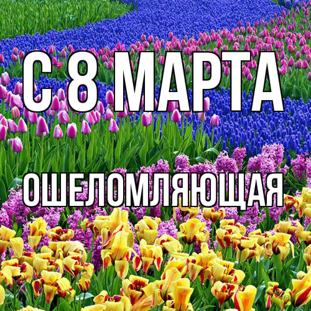Открытка на каждый день с именем, Ошеломляющая C 8 МАРТА цветы Прикольная открытка с пожеланием онлайн скачать бесплатно 