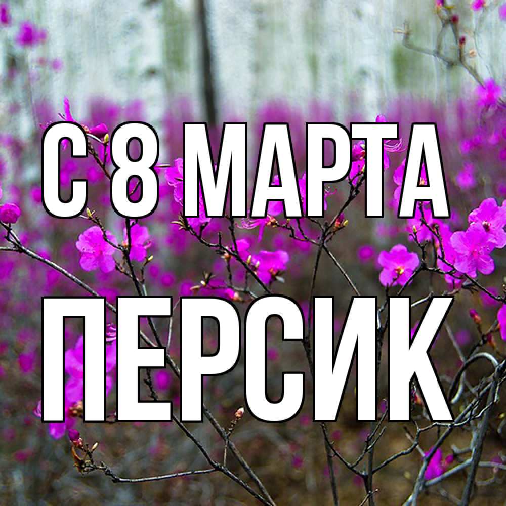 Открытка на каждый день с именем, Персик C 8 МАРТА дикие цветы Прикольная открытка с пожеланием онлайн скачать бесплатно 
