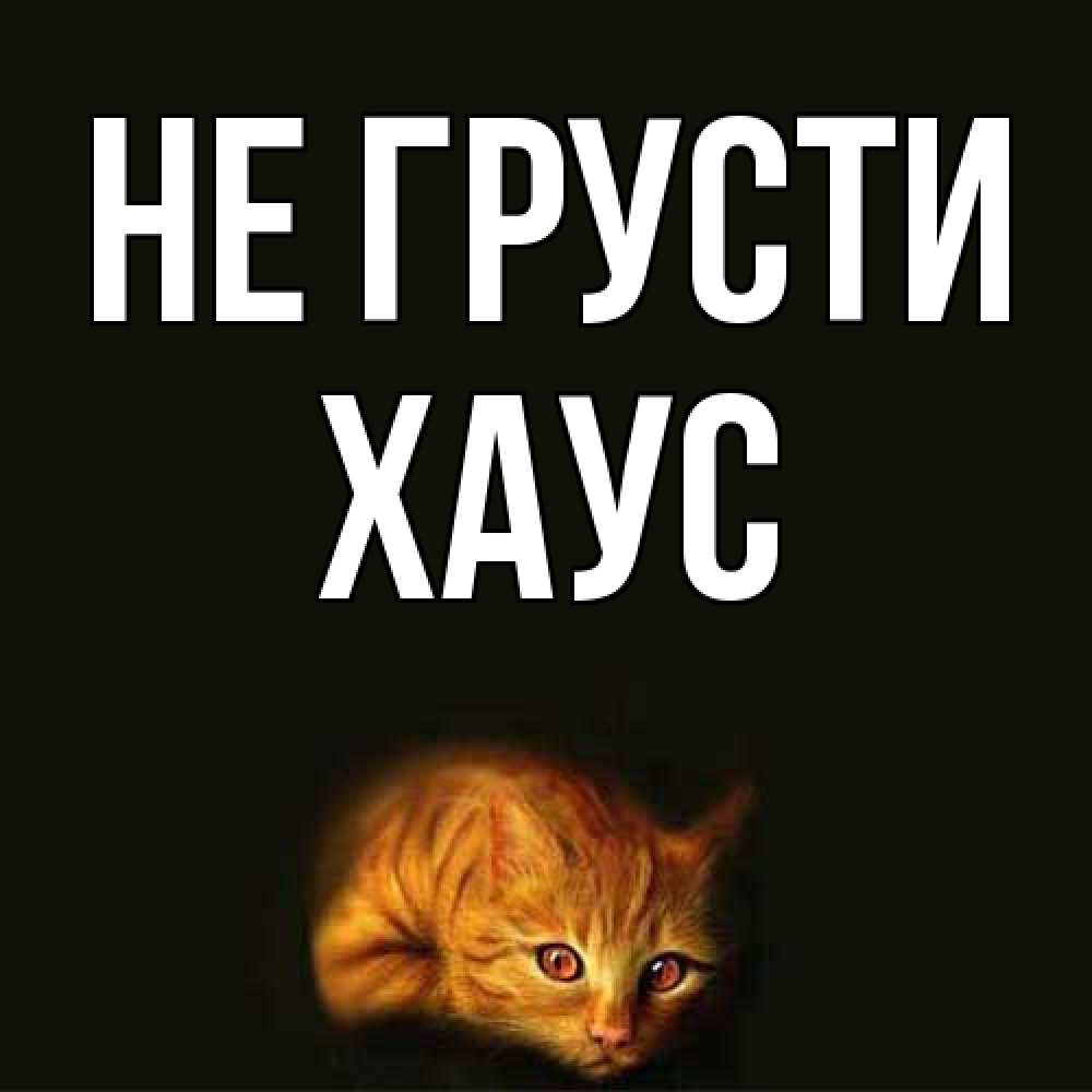 Открытка на каждый день с именем, Хаус Не грусти лежащий кот в темноте Прикольная открытка с пожеланием онлайн скачать бесплатно 