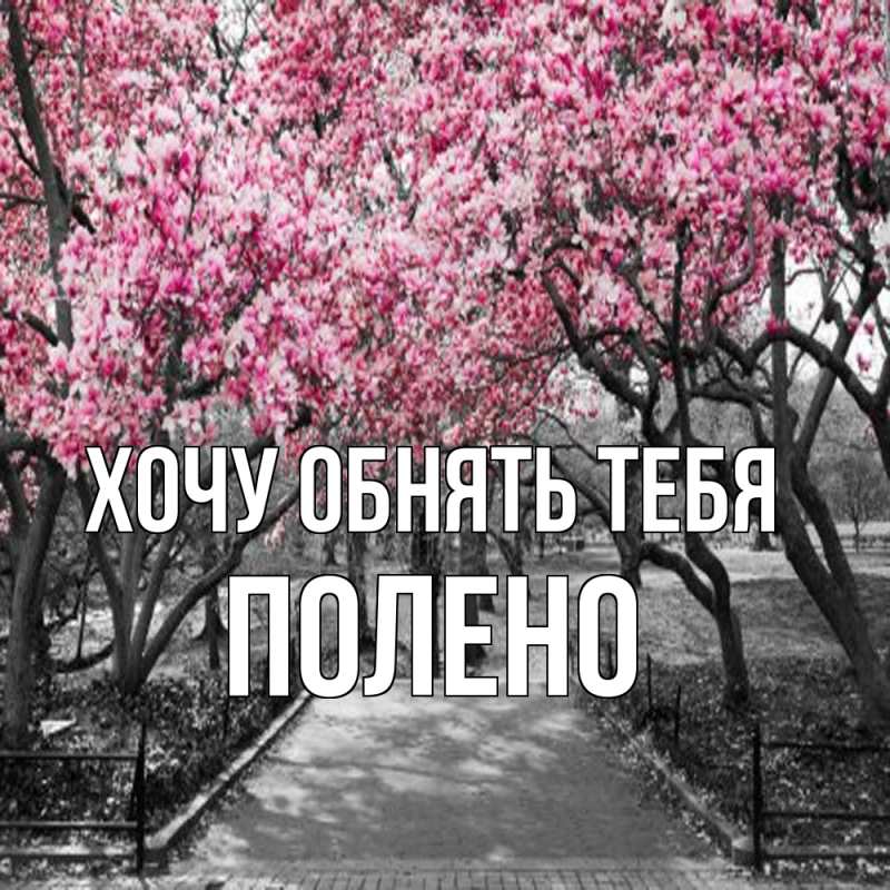 Открытка с именем, Полено, Хочу обнять тебя