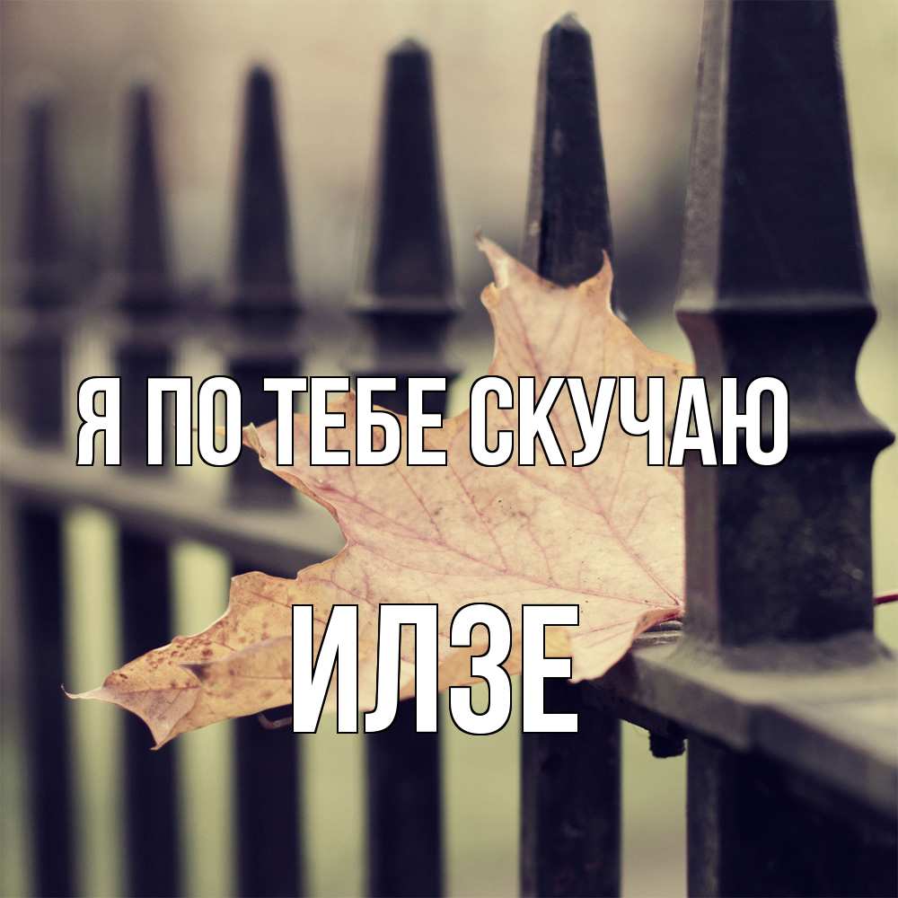 Открытка на каждый день с именем, Илзе Я по тебе скучаю очень скучно Прикольная открытка с пожеланием онлайн скачать бесплатно 