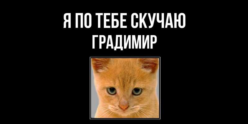 Картинка Я по тебе скучаю, Градимир