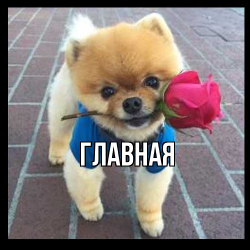 Картинка  с именем , настя