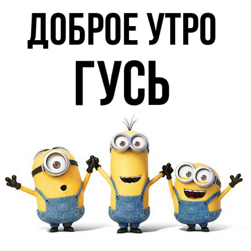 Картинка Доброе утро, Гусь