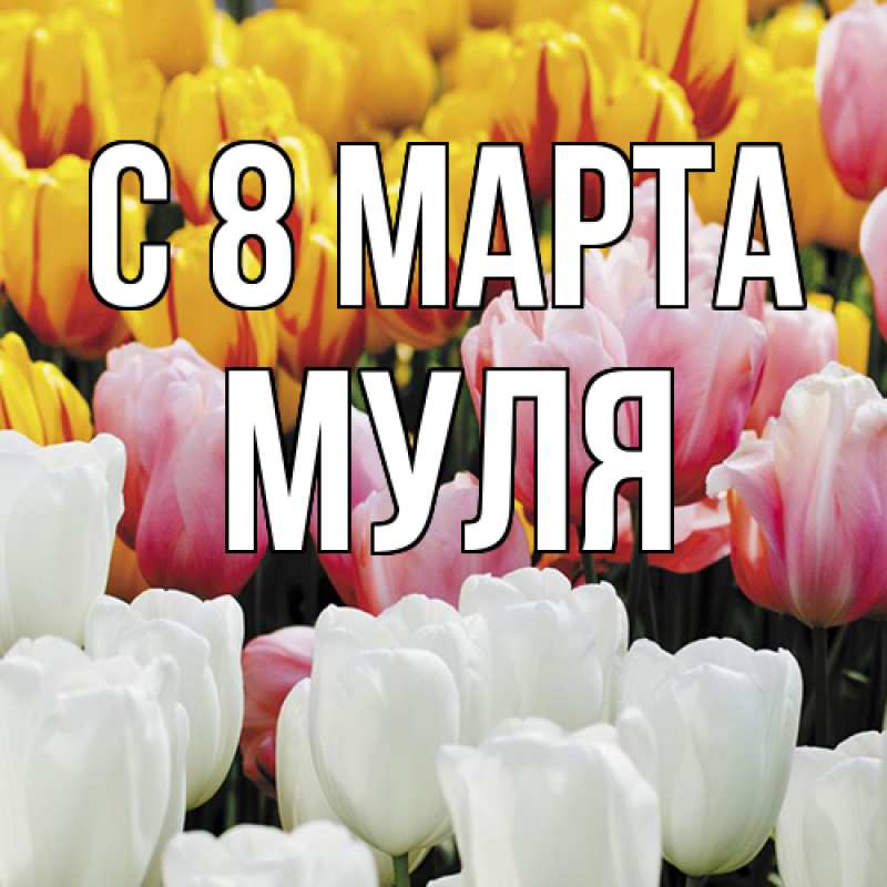 Картинка C 8 МАРТА, Муля