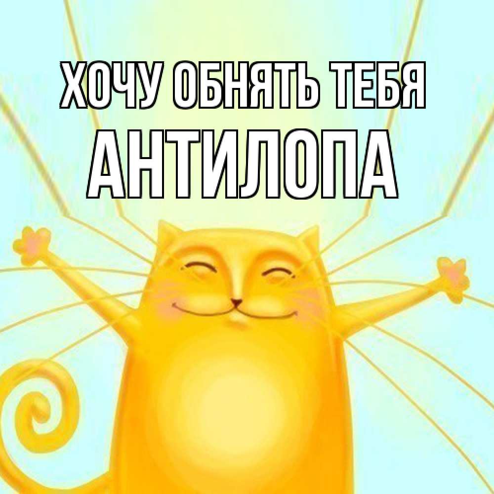 Открытка на каждый день с именем, антилопа Хочу обнять тебя солнечный обнимашечный кот Прикольная открытка с пожеланием онлайн скачать бесплатно 