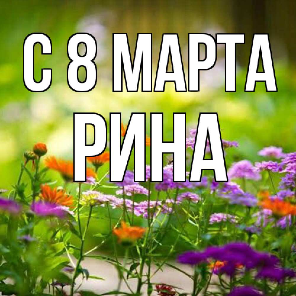Открытка на каждый день с именем, Рина C 8 МАРТА цветы Прикольная открытка с пожеланием онлайн скачать бесплатно 