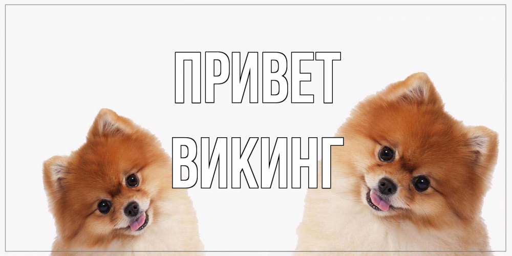 Открытка на каждый день с именем, Викинг Привет привет Прикольная открытка с пожеланием онлайн скачать бесплатно 