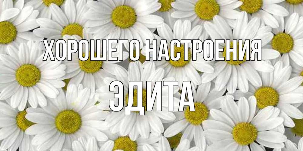 Открытка на каждый день с именем, Эдита Хорошего настроения поляна ромашек Прикольная открытка с пожеланием онлайн скачать бесплатно 