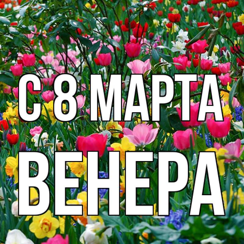 Картинка C 8 МАРТА, Венера
