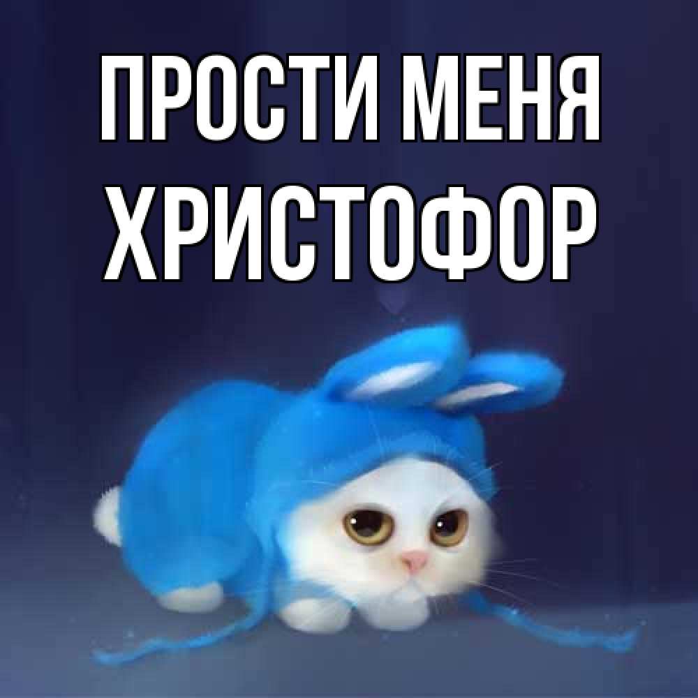 Открытка на каждый день с именем, Христофор Прости меня невинный котозай просит прощения Прикольная открытка с пожеланием онлайн скачать бесплатно 