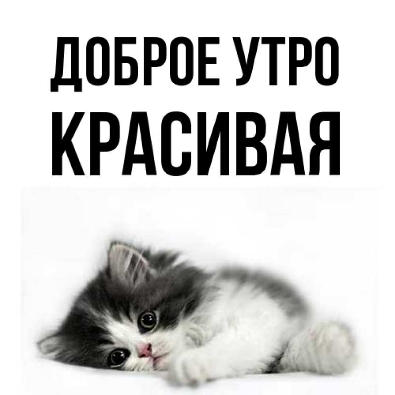 Картинка Доброе утро, Красивая