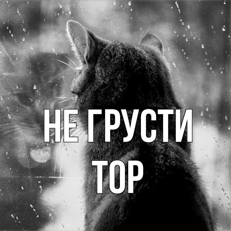 Картинка Не грусти, Тор