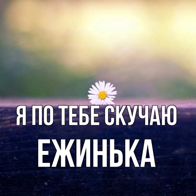 Картинка Я по тебе скучаю, ежинька