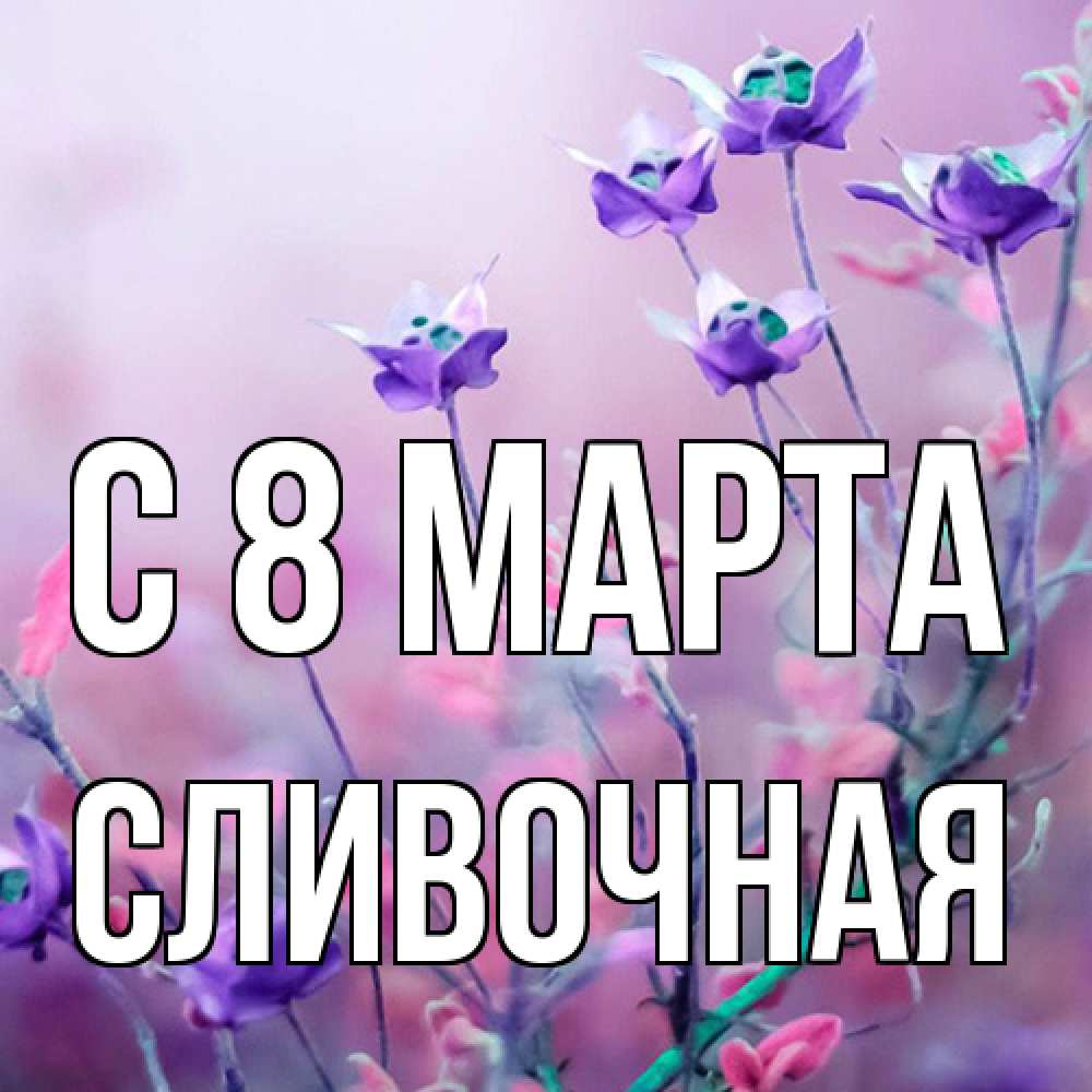 Открытка на каждый день с именем, Сливочная C 8 МАРТА международный женский день 2 Прикольная открытка с пожеланием онлайн скачать бесплатно 