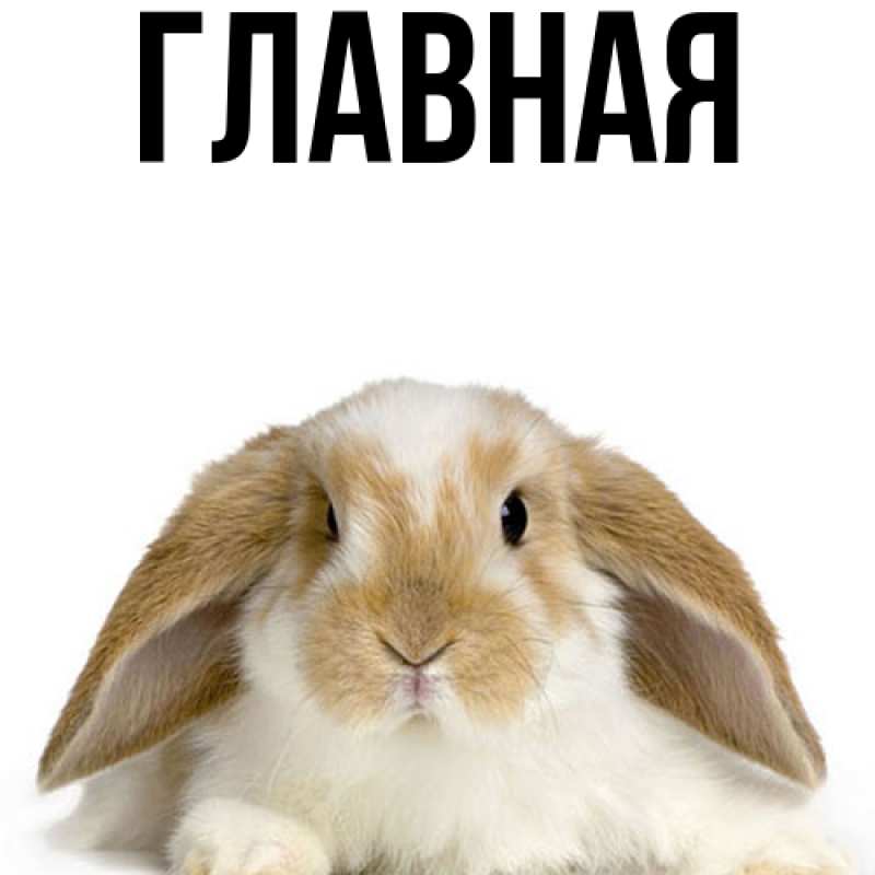 Картинка  с именем , Анна