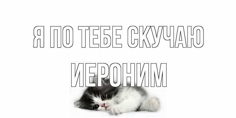 Открытка на каждый день с именем, Иероним Я по тебе скучаю кот, скука Прикольная открытка с пожеланием онлайн скачать бесплатно 