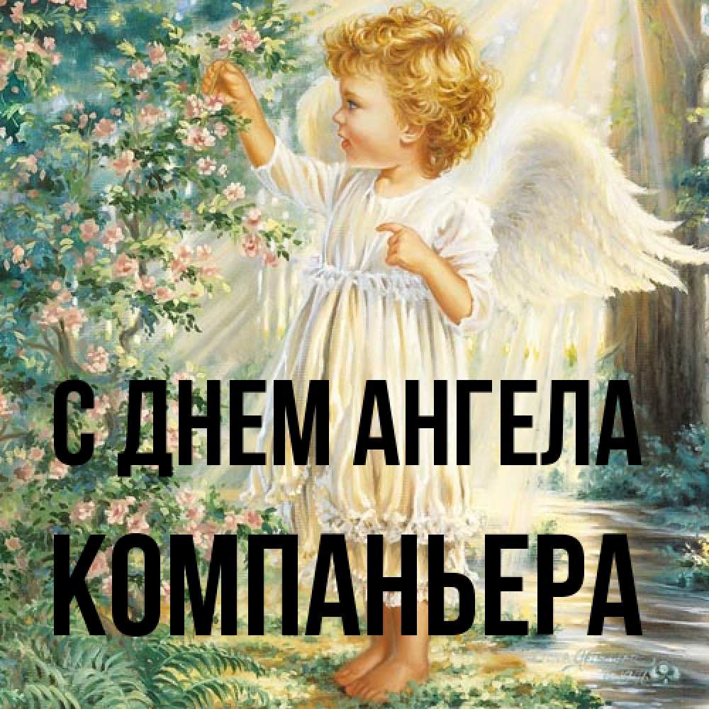 Открытка на каждый день с именем, Компаньера С днем ангела собирает цветы Прикольная открытка с пожеланием онлайн скачать бесплатно 