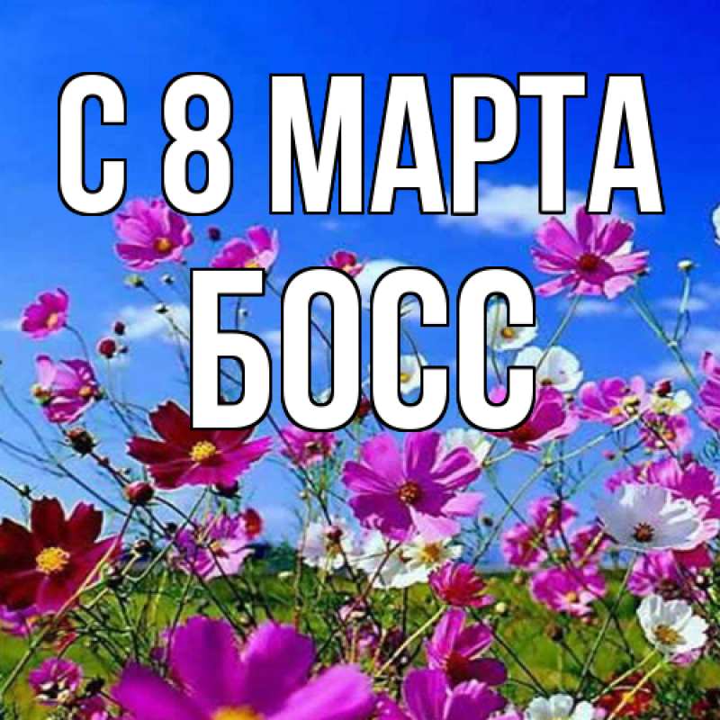 Картинка C 8 МАРТА, Босс