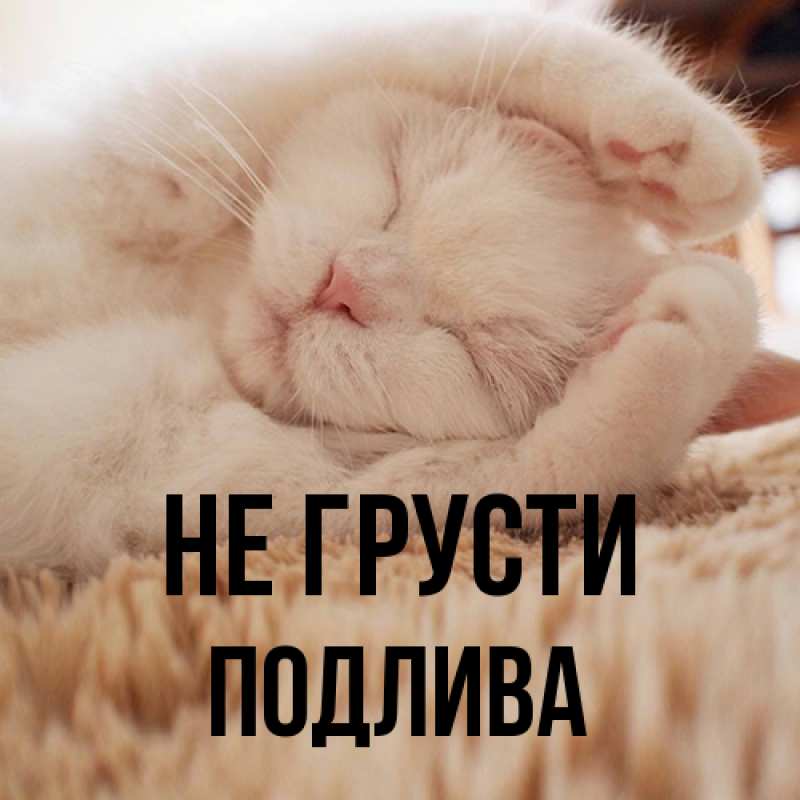 Картинка Не грусти, Подлива