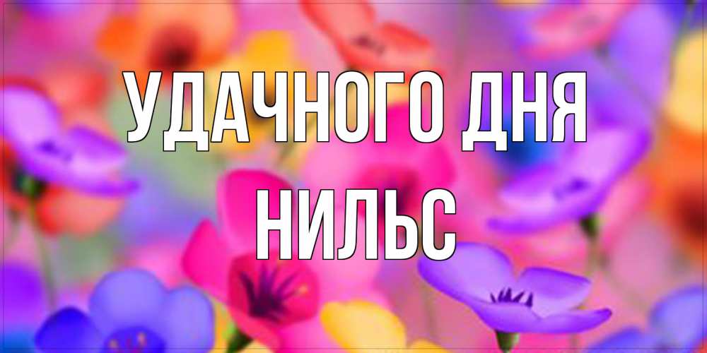 Открытка на каждый день с именем, Нильс Удачного дня открытка повышающая настроение Прикольная открытка с пожеланием онлайн скачать бесплатно 