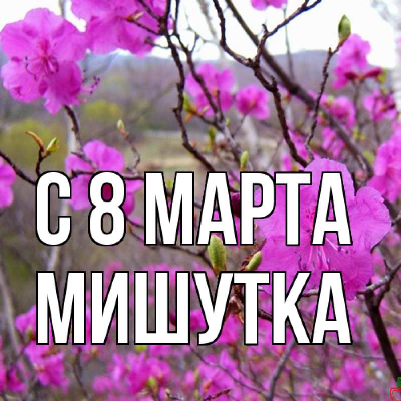 Картинка C 8 МАРТА, Мишутка