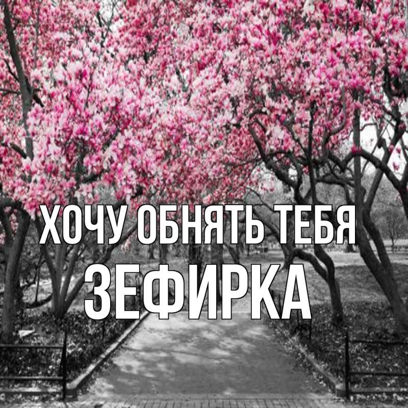 Картинка Хочу обнять тебя, зефирка