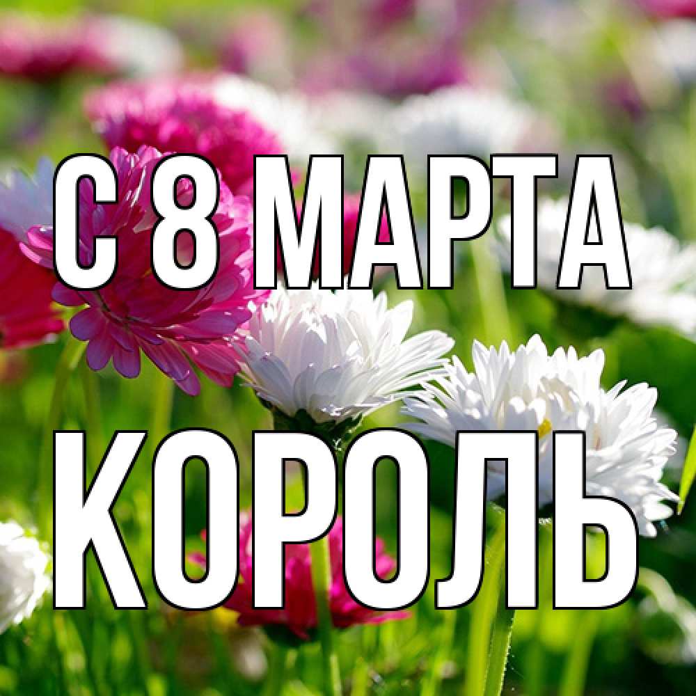 Открытка на каждый день с именем, Король C 8 МАРТА международный женский день 1 Прикольная открытка с пожеланием онлайн скачать бесплатно 