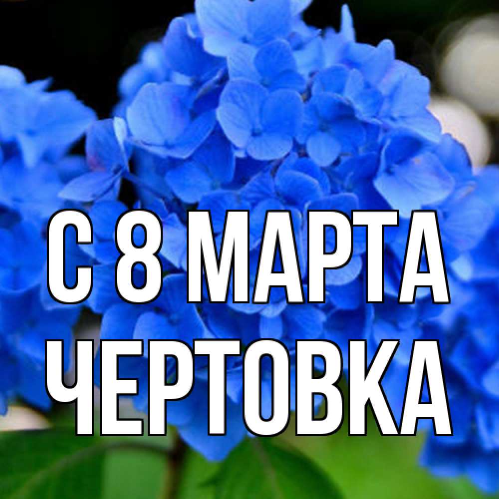 Открытка на каждый день с именем, Чертовка C 8 МАРТА синие цветы Прикольная открытка с пожеланием онлайн скачать бесплатно 