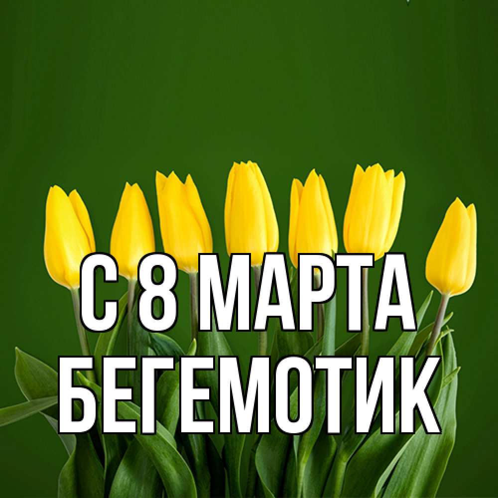 Открытка на каждый день с именем, Бегемотик C 8 МАРТА желтого цвета 3 Прикольная открытка с пожеланием онлайн скачать бесплатно 