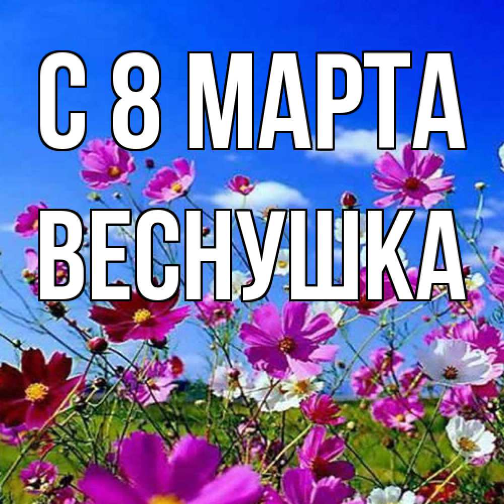 Открытка на каждый день с именем, веснушка C 8 МАРТА цветы Прикольная открытка с пожеланием онлайн скачать бесплатно 