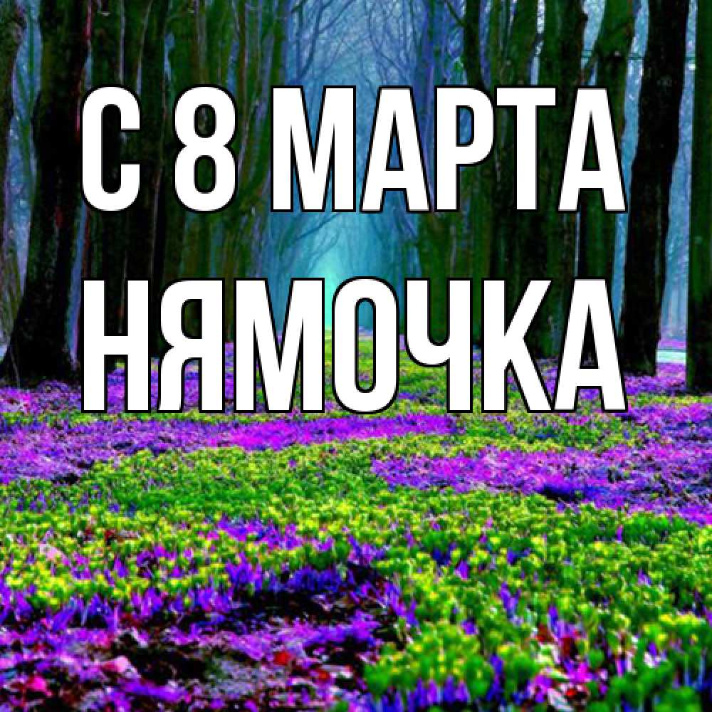 Открытка на каждый день с именем, нямочка C 8 МАРТА фиолетовые цветы в лесу 1 Прикольная открытка с пожеланием онлайн скачать бесплатно 