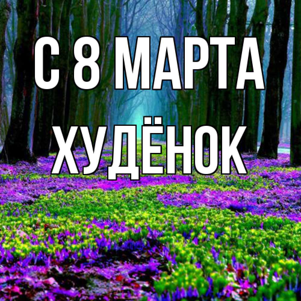 Открытка на каждый день с именем, худёнок C 8 МАРТА фиолетовые цветы в лесу 1 Прикольная открытка с пожеланием онлайн скачать бесплатно 